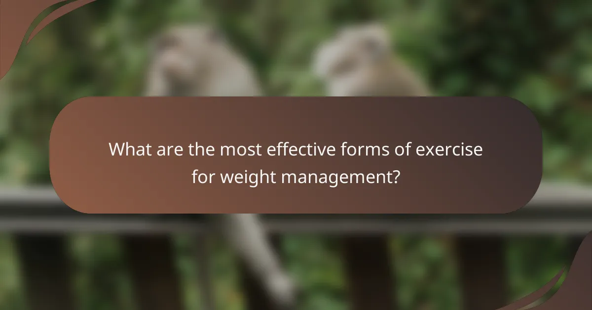 What are the most effective forms of exercise for weight management?
